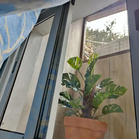 Casa Vacacional Lupe * Вальеэрмосо