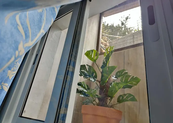 Casa Vacacional Lupe * Vallehermoso